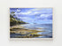 light wood framed seagulls and shells original painting wall art print